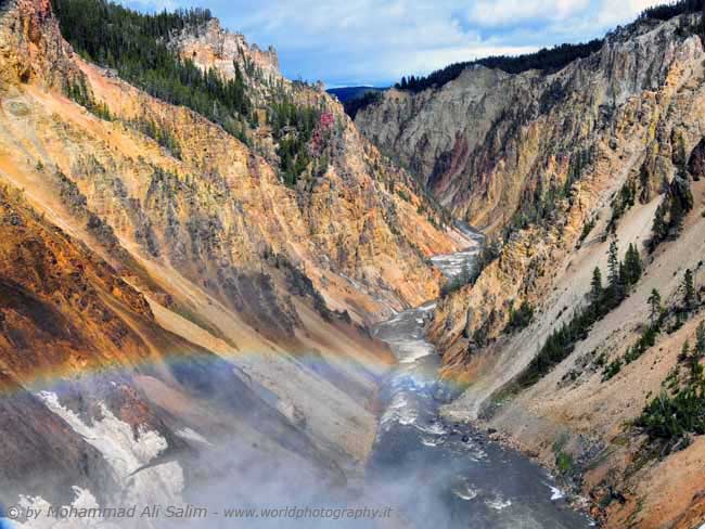 Rainbow at Lower Falls